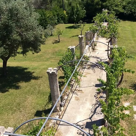 Gelso Guest house Otranto