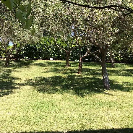 Gelso Guest house